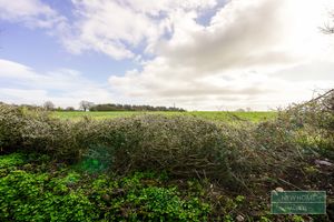 Photo 24- click for photo gallery